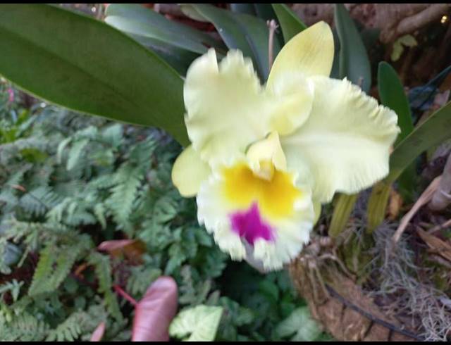 3 BEDROOM HOUSE FOR SALE IN WIDENHAM